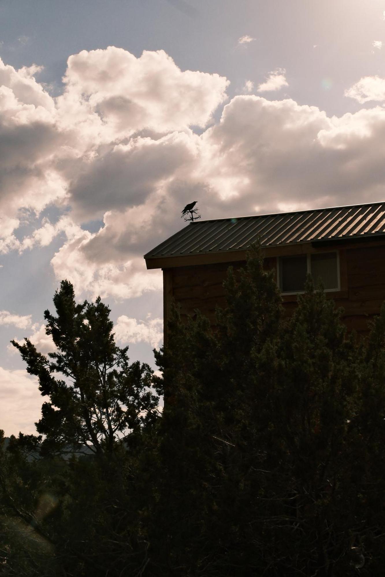 Crows Nest Treehouse At El Mstico Ranch Villa Nogal Exterior photo